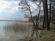 UTW Kutno IMG_1878.jpg